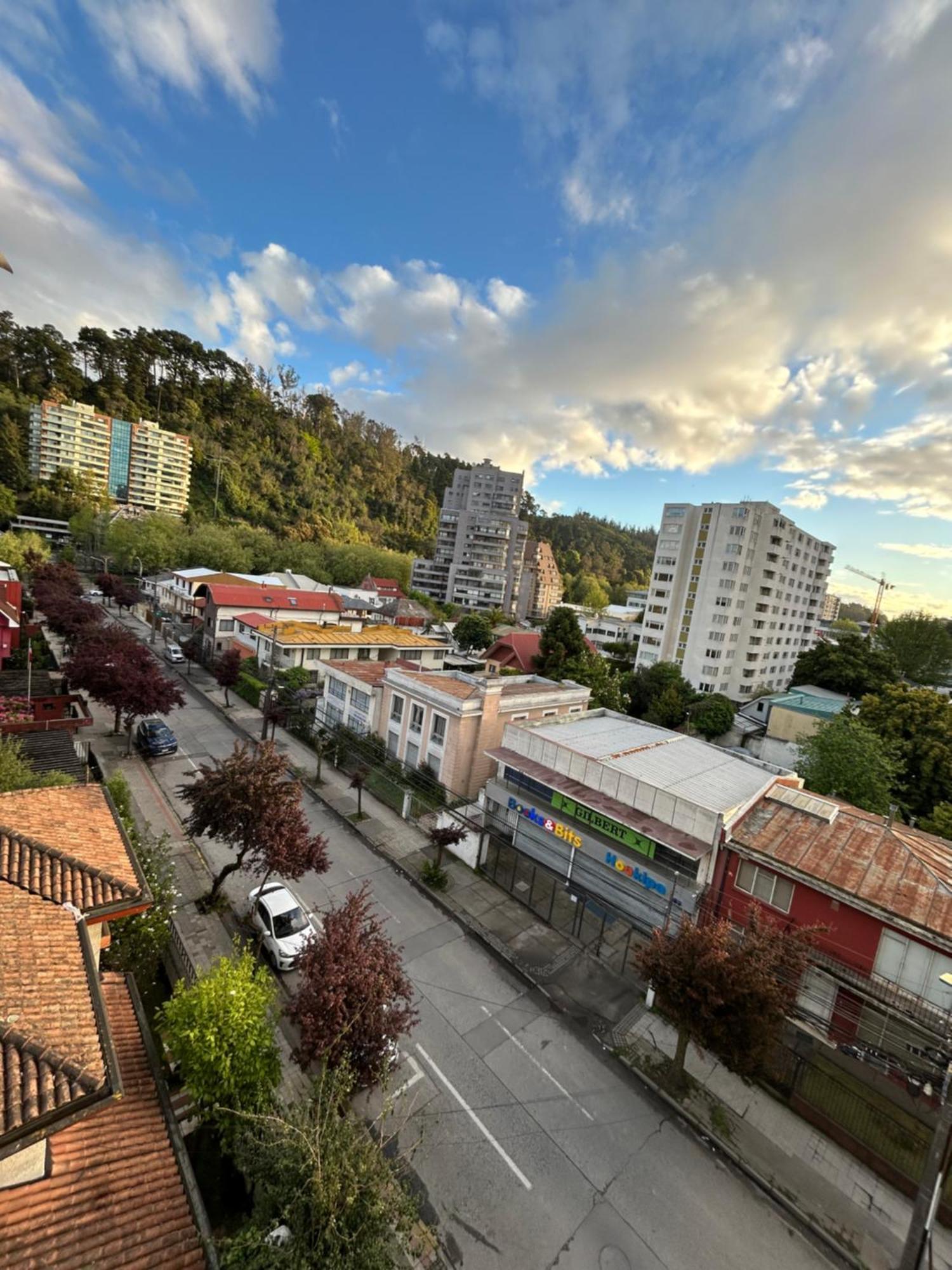 Mirador Parque Διαμέρισμα Concepción Εξωτερικό φωτογραφία
